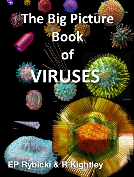Virus_Picture_Book_copy_iba